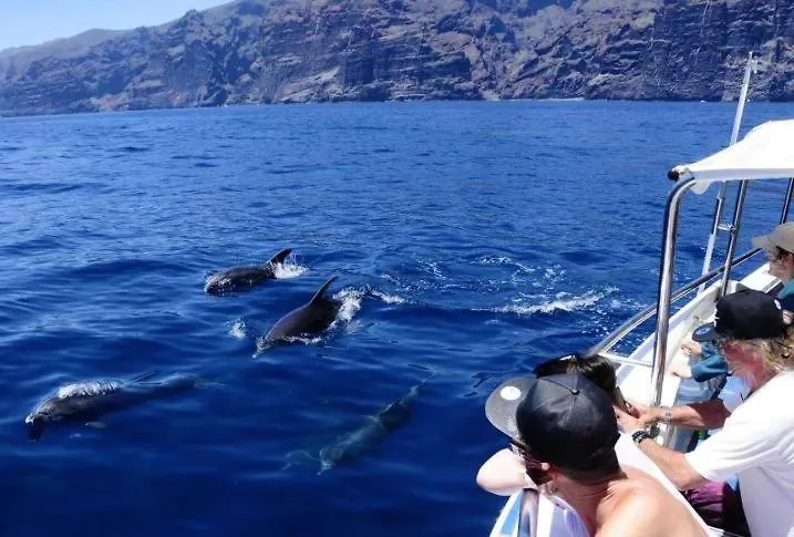 Apartamento Incleibles Vistas Al Oceano Y Piscina. Acantilado de los Gigantes 0*,  Spain